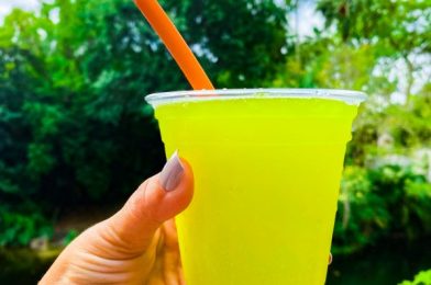 Review: WOW…Disney World’s Newest Drink Is Insanely Neon!