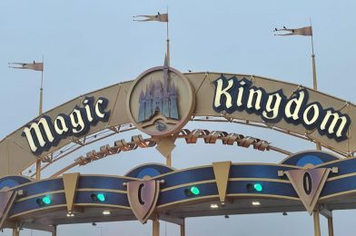 PHOTO REPORT: Magic Kingdom 4/1/21 (Blue Fantasyland Painting, Promotional Filming, Concrete Work, a Surprise Easter Treat, and More)