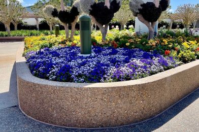 Removal of Hand Washing Stations and Other Changes Seen this Week in the Disney Parks