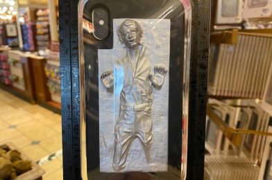 PHOTOS: “Star Wars” Han Solo in Carbonite Phone Case Transported to Magic Kingdom