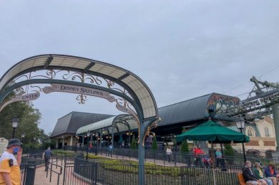 PHOTOS – How Busy is the Disney Skyliner During Park Hopping Hours?