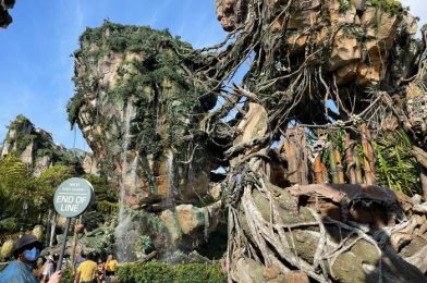 PHOTOS – New Specialty Drinks and New Extended Queue Procedures at Disney’s Animal Kingdom