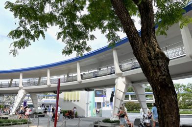 Is the PeopleMover on Track to Open May 1st? We Have an Update!