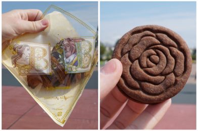 REVIEW: Delicious Sadaharu Aoki Paris X Tokyo Disneyland Collaboration Treats Bring Smiles and Joy