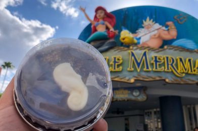 REVIEW – NEW Seaside Brownie at Hollywood Studios Wins Over Mickey’s Brownie