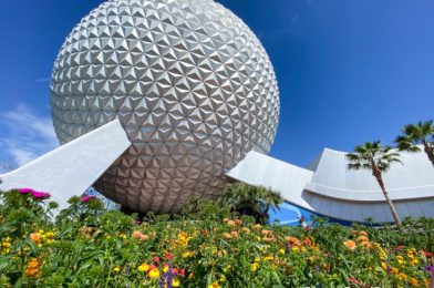 DFB Video: Latest Disney News: EPCOT’s Food & Wine Festival Starts EARLY, Disneyland Reopening Updates & MORE!