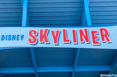 BREAKING NEWS: Skyliner Gondolas Crash Again in Disney World