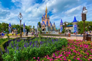 PHOTOS: Mr. & Mrs. Easter Bunny Stopped By Disney World for an Egg Hunt!