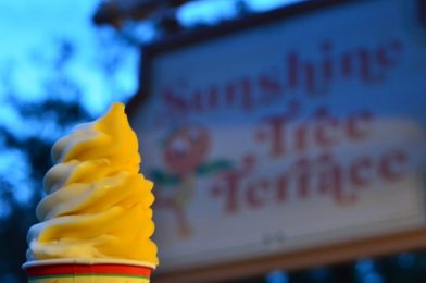 Magic Kingdom Snacks Offering the Most Bang for Your Buck