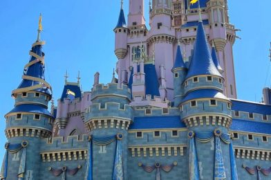 PHOTOS – What’s New at Magic Kingdom: More 50th Anniversary Decorations, More Characters Appearances, and Strollers!