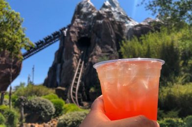 REVIEW – The Hits and Misses of the NEW Specialty Drinks at Disney’s Animal Kingdom