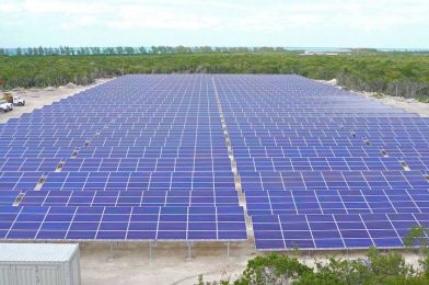 New Solar Facilities Coming to Castaway Cay, Disney World, & More