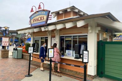 A NEW Snack in Disney World Is Making Dole Whip Floats A Little Jealous.