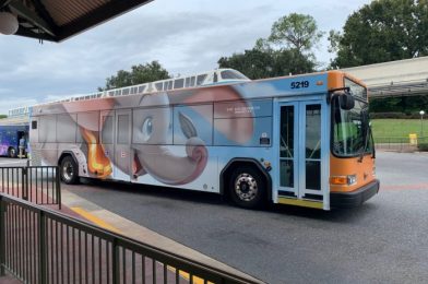 Why Should You Use the Disney Bus System?