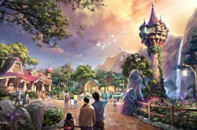 The Future of Disneyland is… Across the Road?