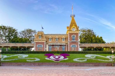 What’s New at Disneyland Resort: Distancing Markers, Unique Mugs, and Harveys Bags