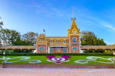 Disneyland Cast Members Receive NEW Name Tags Ahead of Reopening