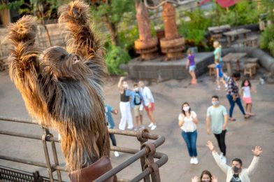 Character Experiences at Disneyland Will Be Different Upon Reopening