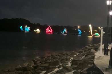 Electrical Water Pageant Viewing Tips and Tricks