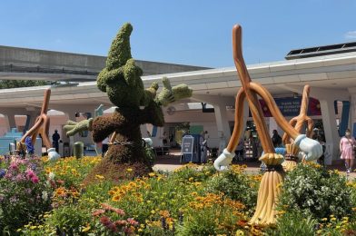 PHOTO REPORT: EPCOT 4/7/21 (Harmonious Compass Completed, New Large Pins, Flower & Garden Festival Phone Cases, and More)