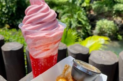 6 Changes We Saw at Walt Disney World This Week