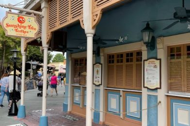 More Mobile Order Options Appear at Magic Kingdom