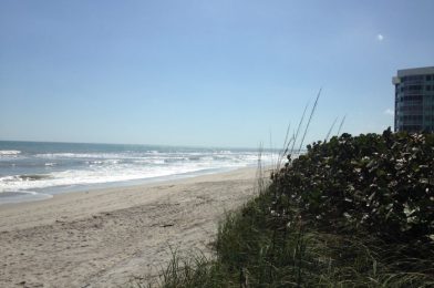 Benefits of Sailing out of Port Canaveral