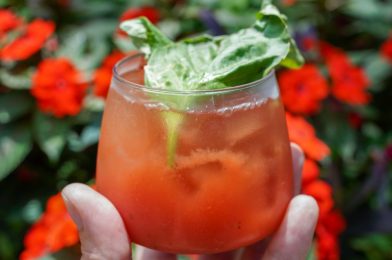 REVIEW: NEW Strawberry-Basil Cocktail Added to Farmers Feast Rotating Menu at Taste of EPCOT International Flower & Garden Festival