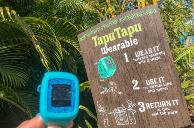 What Can You Do with a TapuTapu?