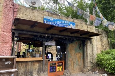 Review: There’s a New Honey BEE Beer in Disney’s Animal Kingdom