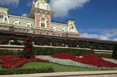 Top 10 Pictures to Take on Every Trip to Walt Disney World