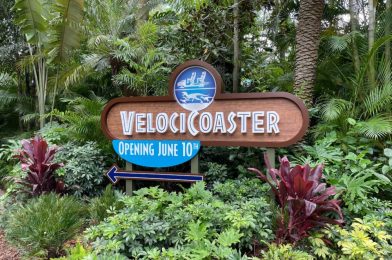 PHOTO REPORT: Universal Orlando Resort 4/23/21 (Retro-Style Merchandise, 2021 “Grad Bash” Freestyle Cups, Updated VelociCoaster Sign, and More)