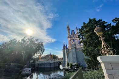 Can This Disney World Price Increase Make Up Its Mind?!