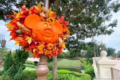 Our Readers Have Some THOUGHTS on Disney World’s New Halloween Boo Bash