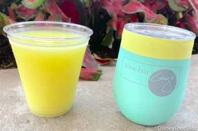 A Popular Corkcicle Has Returned To Disney World’s The Basket at Wine Bar George!