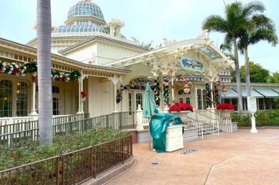 Easiest Ways to Modify a Disney World Dining Reservation