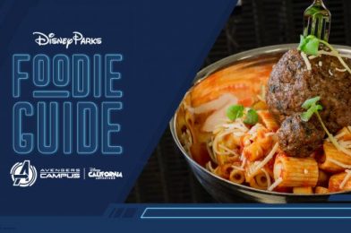 FIRST LOOK at ALL the FOOD Coming to Disney’s Avengers Campus