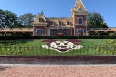 Auction to Feature Signed “it’s a small world” Sheet Music and a Piece of Sleepy Beauty Castle