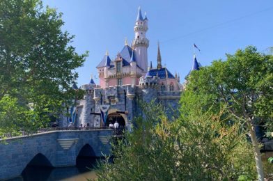 Disneyland’s Newest Popcorn Bucket Is a Princess’ Dream Come True!