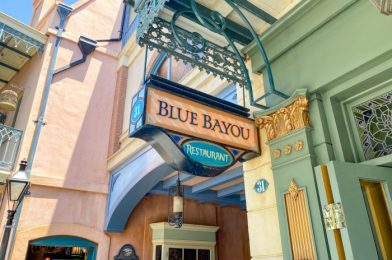 FIRST LOOK! Blue Bayou Opens with Alcohol in Disneyland