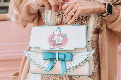 Don’t Miss Out on a Deal For Disney Designer Bags!