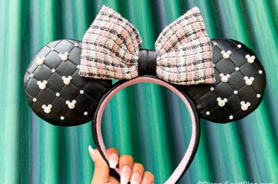 Would You Pay $1,000 For A One-of-a-Kind Disney World Souvenir?