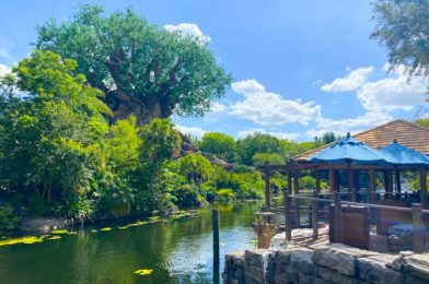 Hollywood Studios is SOLD OUT the Week of Memorial Day at Disney World