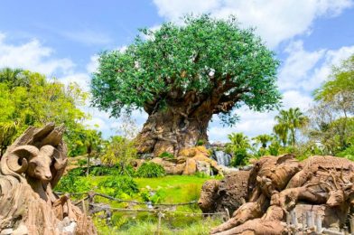 A Disney Parks Executive Has a Message About a CLOSED Animal Kingdom Attraction