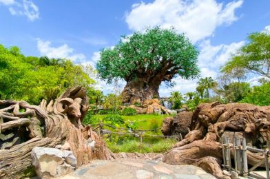 What’s New at Animal Kingdom: A 4th of July Mask and a Funky Souvenir