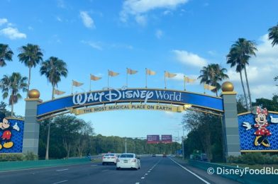 DFB Video: Latest Disney News: Disney World Without a Mask, Disneyland’s $100 Sandwich, Ride Refurbs & MORE!