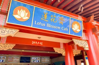 REVIEW: TWO New Menu Items Arrived at EPCOT’s Lotus Blossom Cafe!