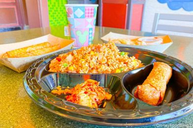 Review: Is Lotus Blossom Cafe the Most Basic Food in EPCOT?