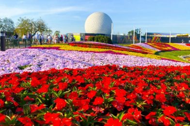 What’s New at EPCOT: Texas Grilled BBQ Chips?!, Updates at a Popular Ride, and More!