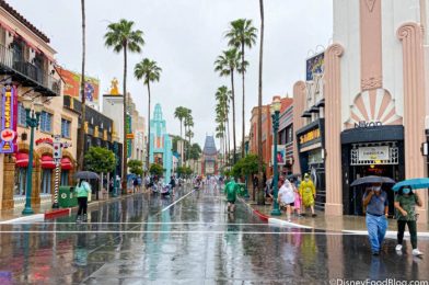 What to Do if the Skyliner Is CLOSED in Disney World